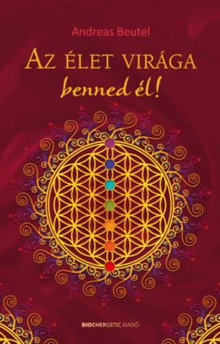 VITALIZÁLOM A CSALÁDOM TELJES MEGOLDÁS CSOMAG - Image 5